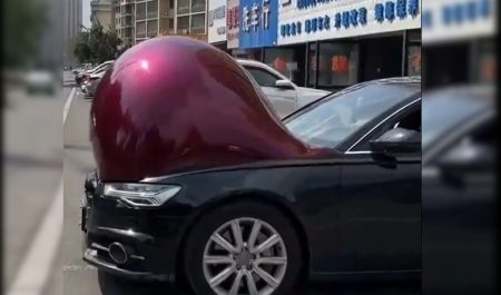 coches embarazados calor