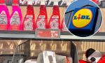 He encontrado estos accesorios para el mantenimiento del coche que arrasan en Lidl: cuestan menos de cinco euros y quedan muy pocos