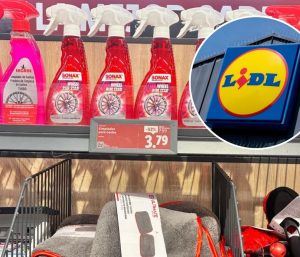 limpiar coche Lidl