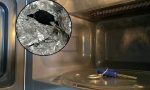 El truco barato de las llaves del coche dentro del microondas o envueltas en papel de aluminio: ¿por qué los conductores lo hacen cada vez más? ¿Es eficaz?