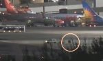 Nadie esperaba verlo en el aeropuerto de Lanzarote: un neumático de Ryanair ‘se da a la fuga’ y obliga a numerosos coches a hacer esto