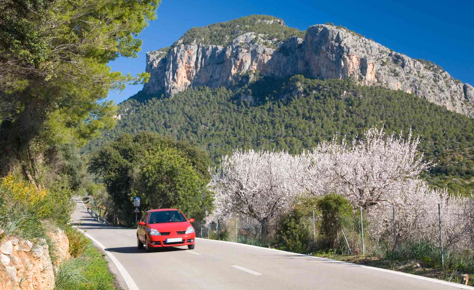 Carretera secundaria Mallorca