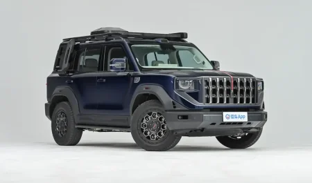 Hongqi G919