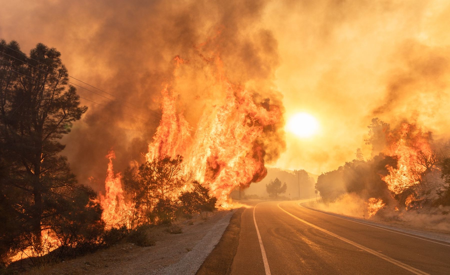 Incendio forestal carretera