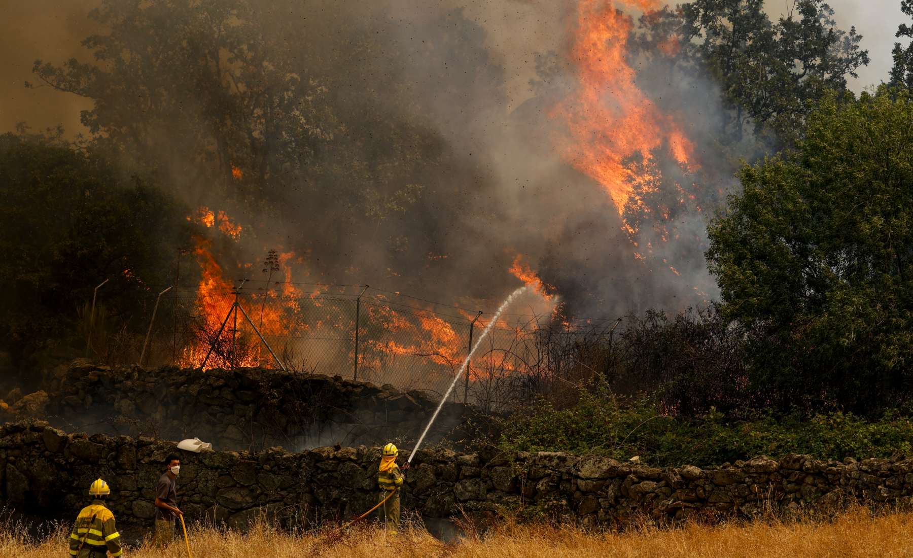 Incendios forestales