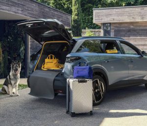 Peugeot E-3008 perro