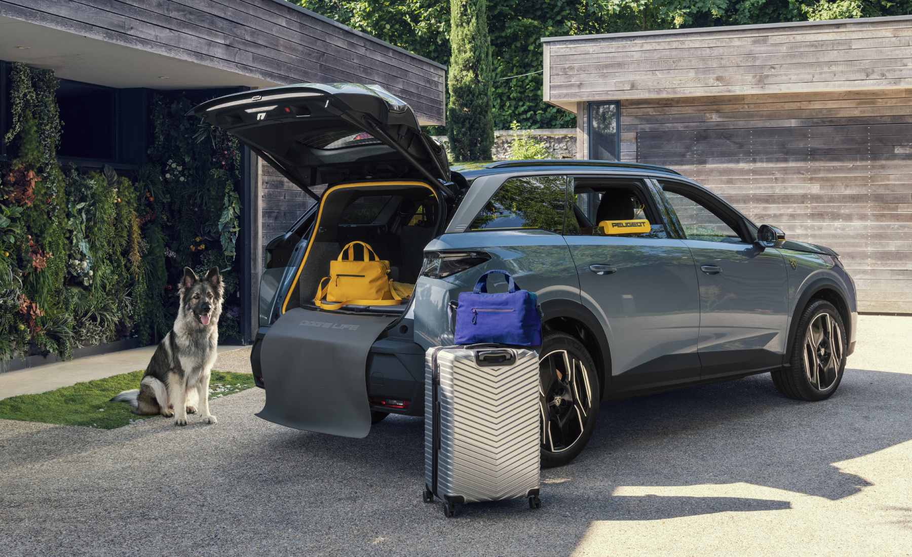 Peugeot E-3008 perro