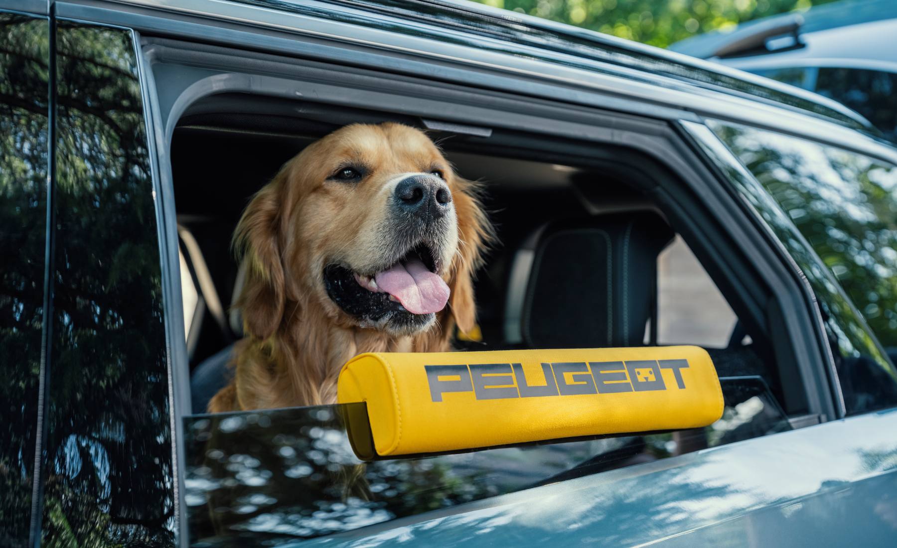 perro peugeot