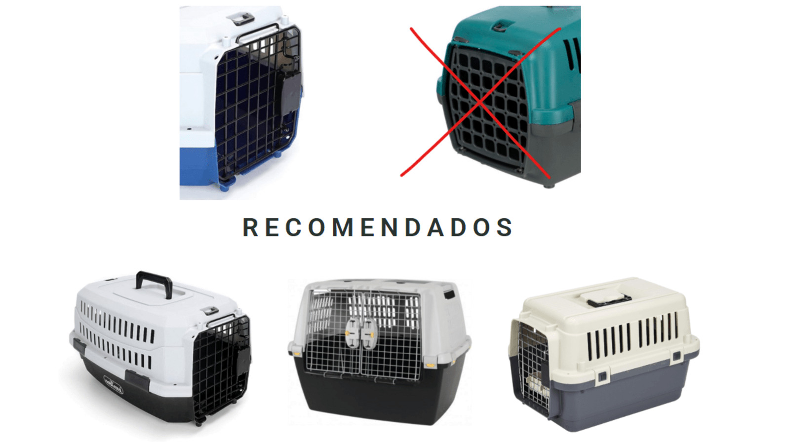 Sistemas de retención para perros recomendados.