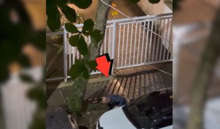 viral aparcamiento