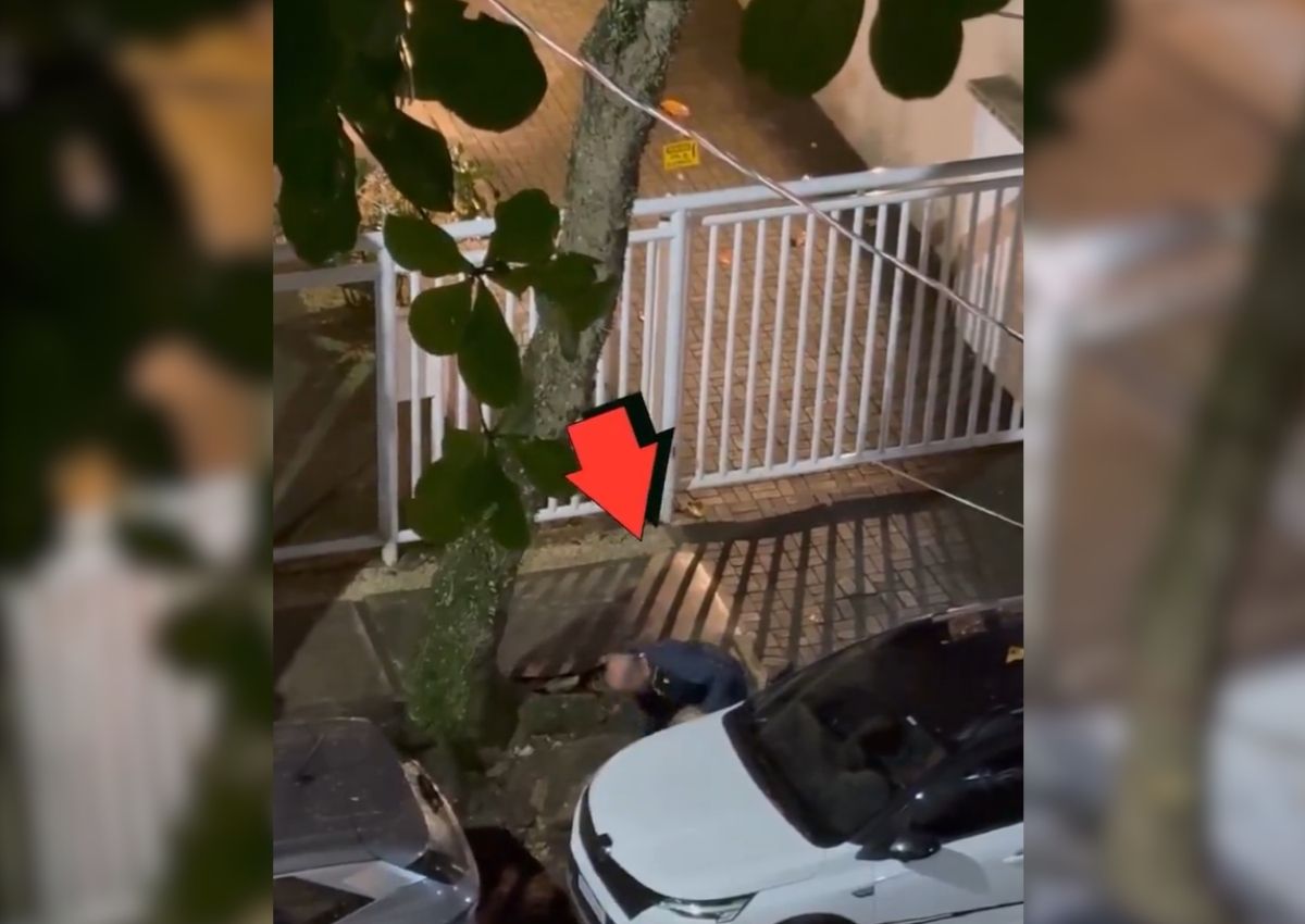 viral aparcamiento