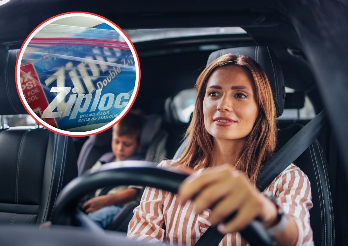 Bolsa para congelar en el coche