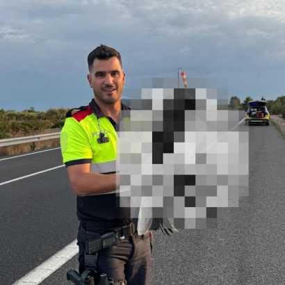 Lo que encontraron los Mossos junto a la AP-7 obligó a una rápida intervención y las imágenes ya son virales
