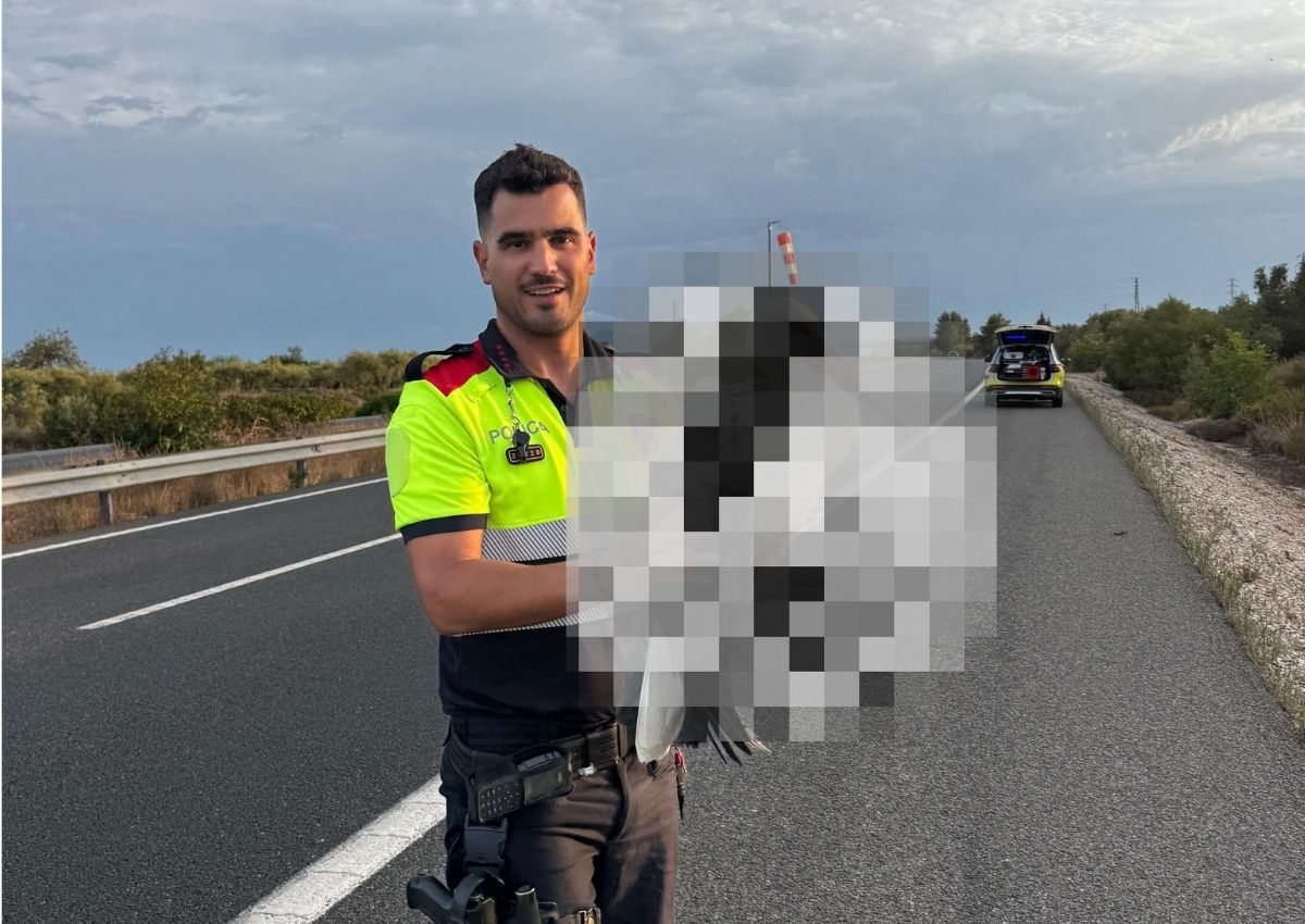 Lo que encontraron los Mossos junto a la AP-7 obligó a una rápida intervención y las imágenes ya son virales