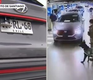 Coche con matrícula intervenida chile