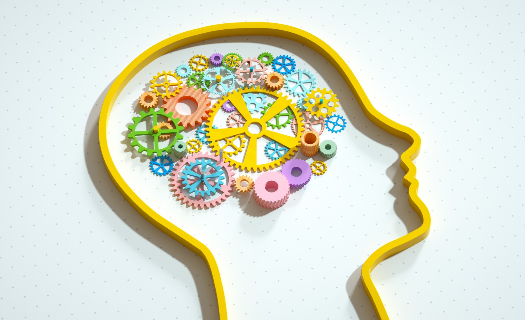 Entrenamiento cerebro