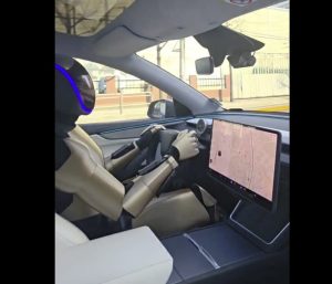 Tesla Optimus