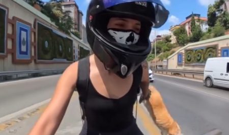 Minutos de terror para esta motorista que llevaba a su gato en un transportín: lo que pasó con su mascota se ha viralizado en segundos