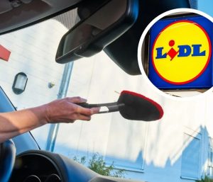Accesorios Limpieza coche Lidl