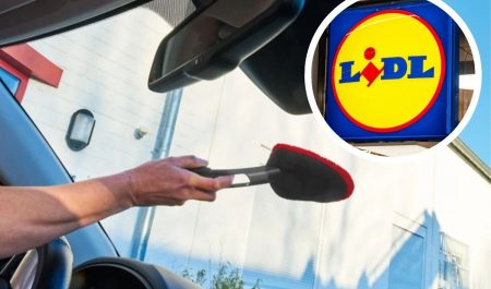 Accesorios Limpieza coche Lidl
