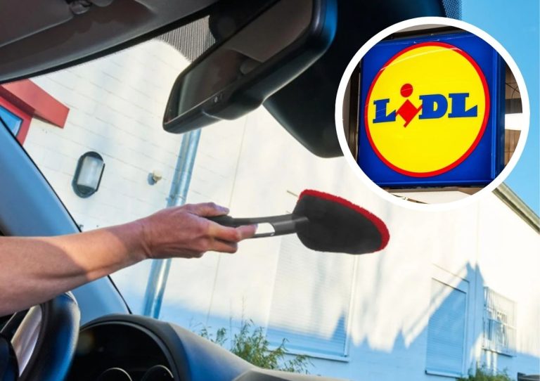Accesorios Limpieza coche Lidl
