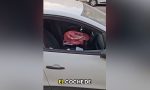 Varios coches aparecen con las ventanillas rotas en una calle de Granada: un usuario comparte las imágenes y las redes explotan