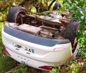 Coche volcado picadura avispa