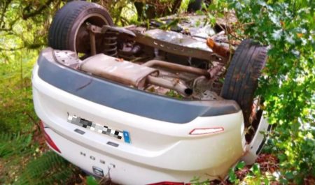 Coche volcado picadura avispa