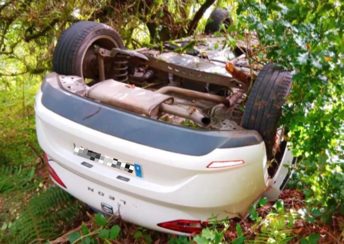Coche volcado picadura avispa