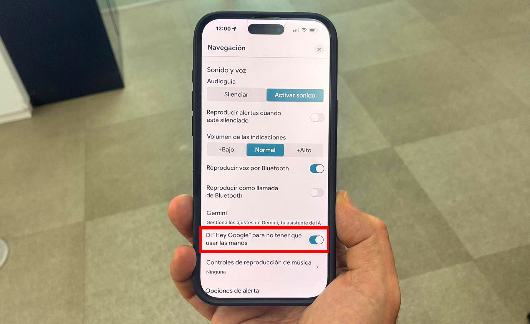 Google Maps Settings