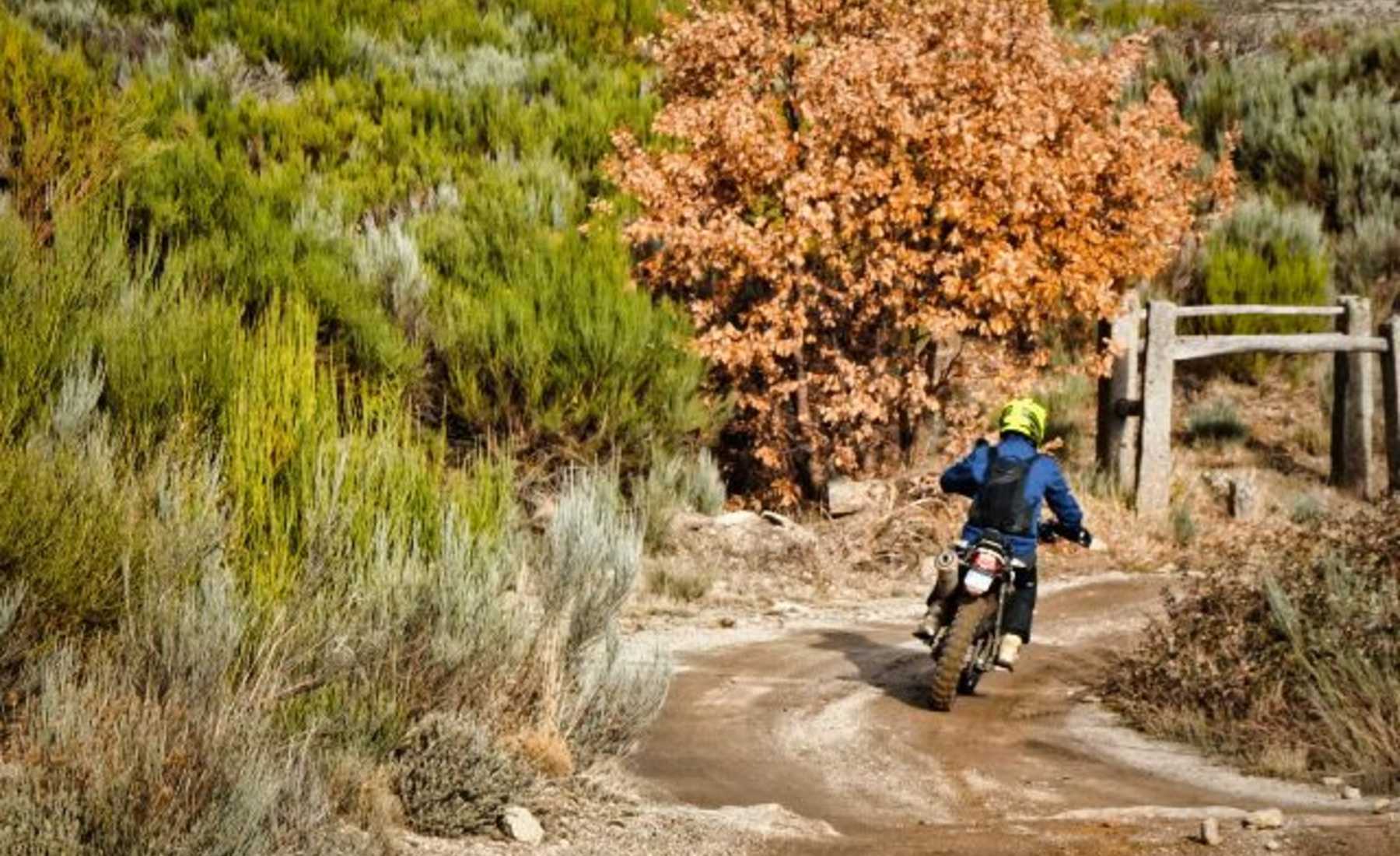 Carrera Gredos Book