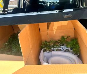 Guardia Civil Marihuana coche