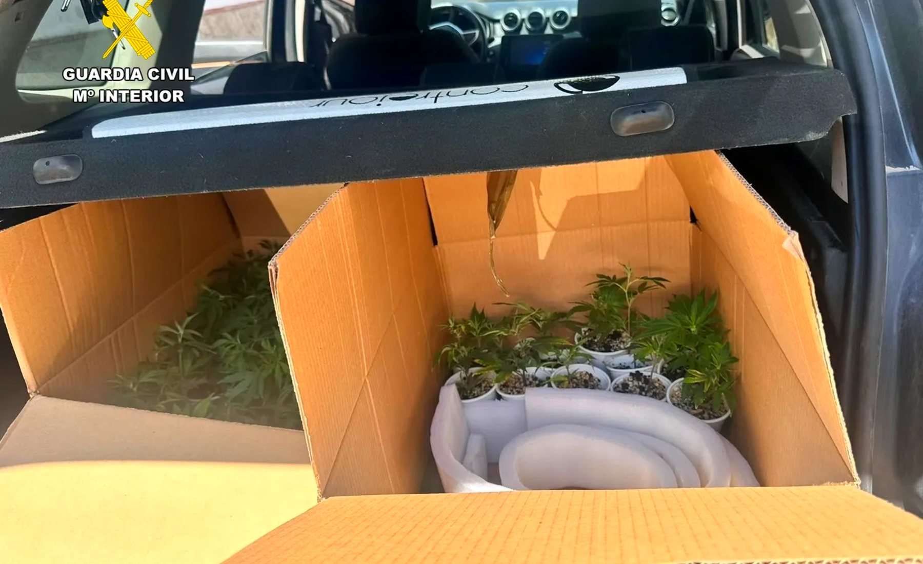Guardia Civil Marihuana coche