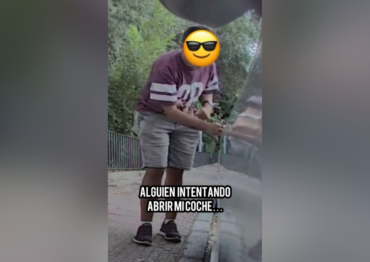 Modo centinela Tesla