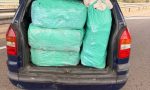 Ni drogas ni armas, la policía no da crédito a lo que encontró en la AP-7: más de 600 ejemplares dentro del coche
