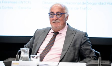 pere navarro dgt carnet