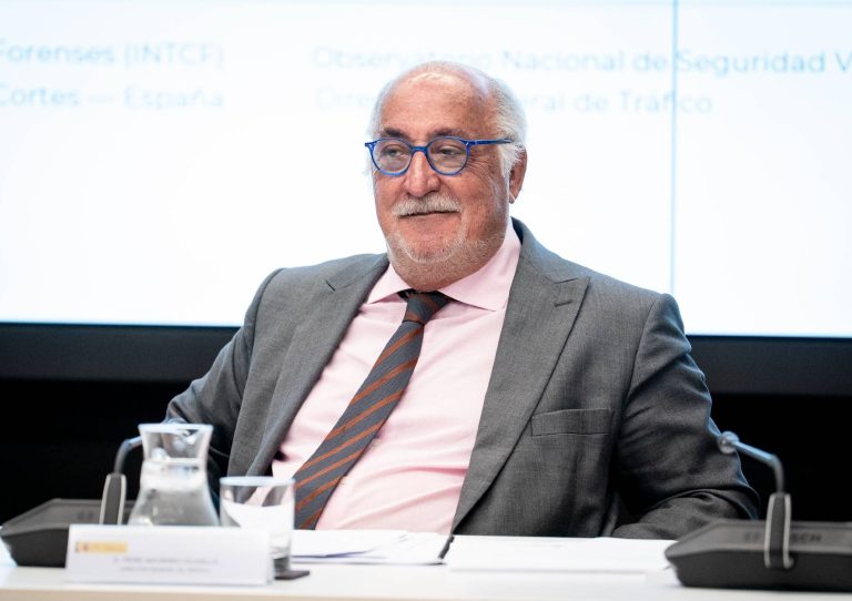 pere navarro dgt carnet