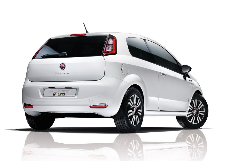 Panda Young y Punto Young, exclusivos italianos