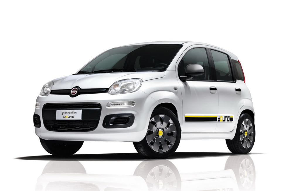 Panda Young y Punto Young, exclusivos italianos