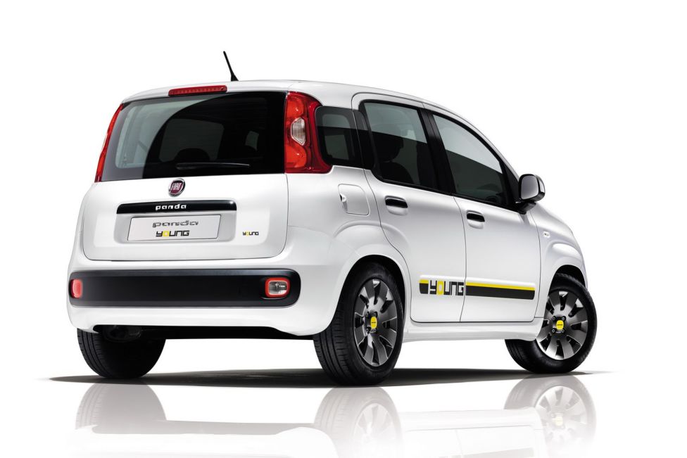 Panda Young y Punto Young, exclusivos italianos