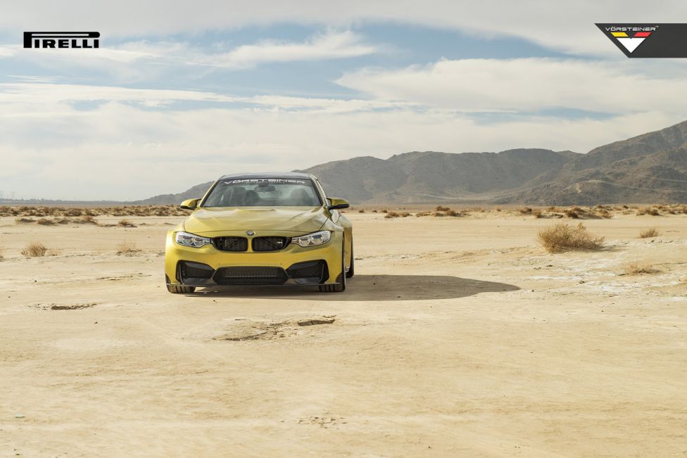 Vorsteiner embrutece al M4