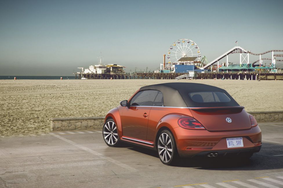 Beetle Concepts NY
